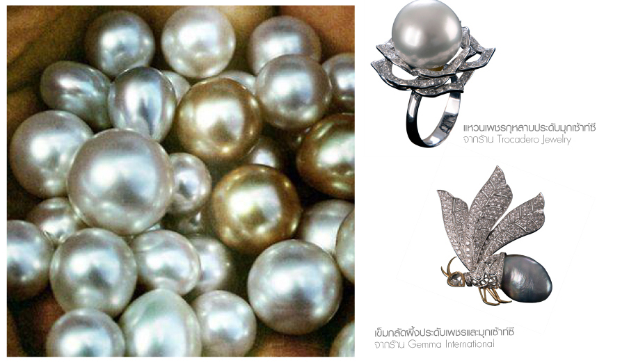 ไข่มุก อัญมณีอันเลอค่าแห่งท้องทะเล (Pearls, precious jewels of the sea)